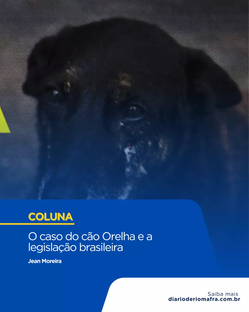 O caso do cão Orelha e a legislação brasileira